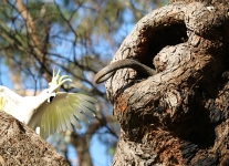 C62E0629.JPG