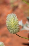 C62E0857.jpg