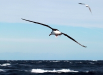 C62E2494.JPG