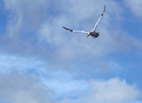 C62E3247.JPG
