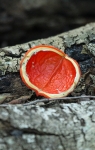 C62E5442.jpg