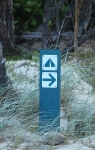 C62E5483.jpg