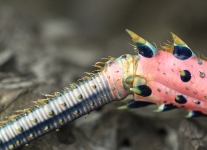 C62E5756.jpg