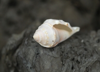 C62E5783.jpg
