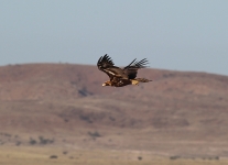 C62E8663.jpg