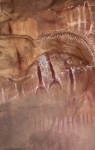 C62E9568.jpg