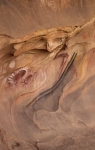 C62E9569.jpg