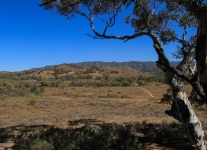 IMG_0715.jpg