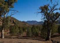 IMG_0753.jpg